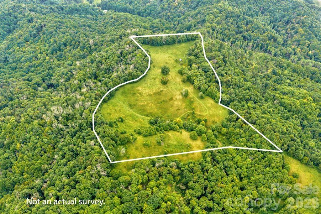 Tbd Vaughn Potter Road Property Photo 4