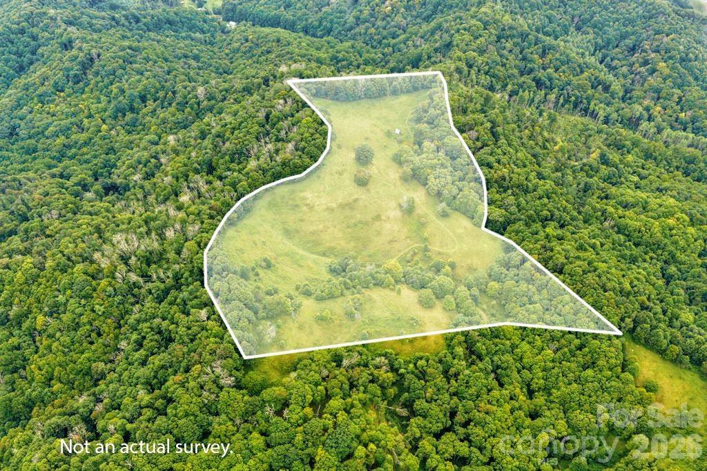 Tbd Vaughn Potter Road Property Photo 5