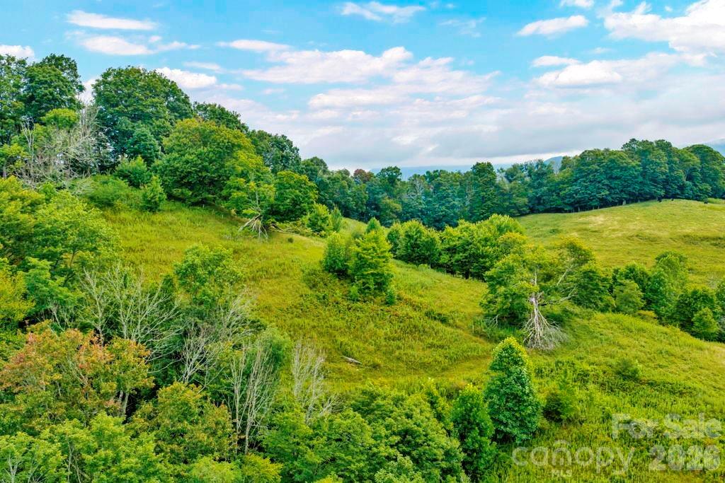 Tbd Vaughn Potter Road Property Photo 6