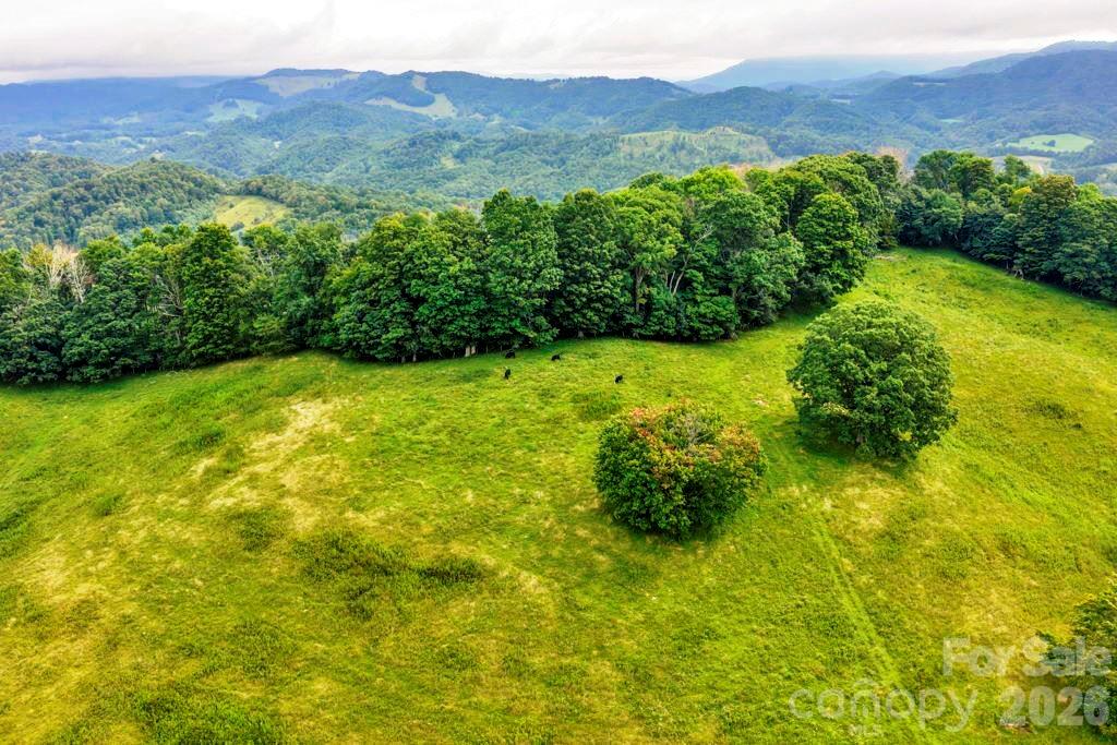 Tbd Vaughn Potter Road Property Photo 14