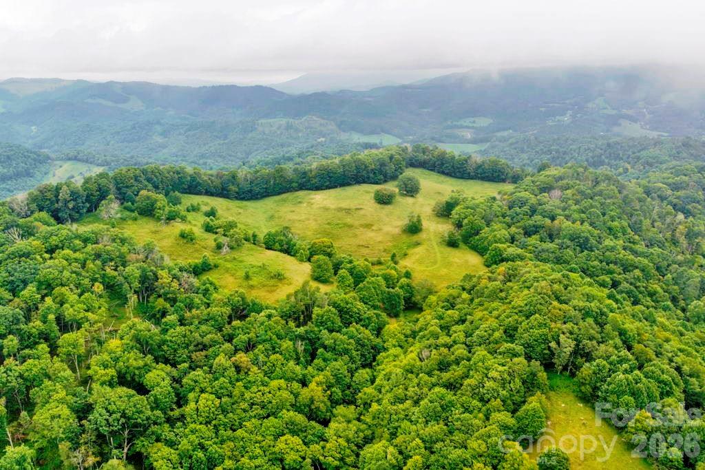 Tbd Vaughn Potter Road Property Photo 29