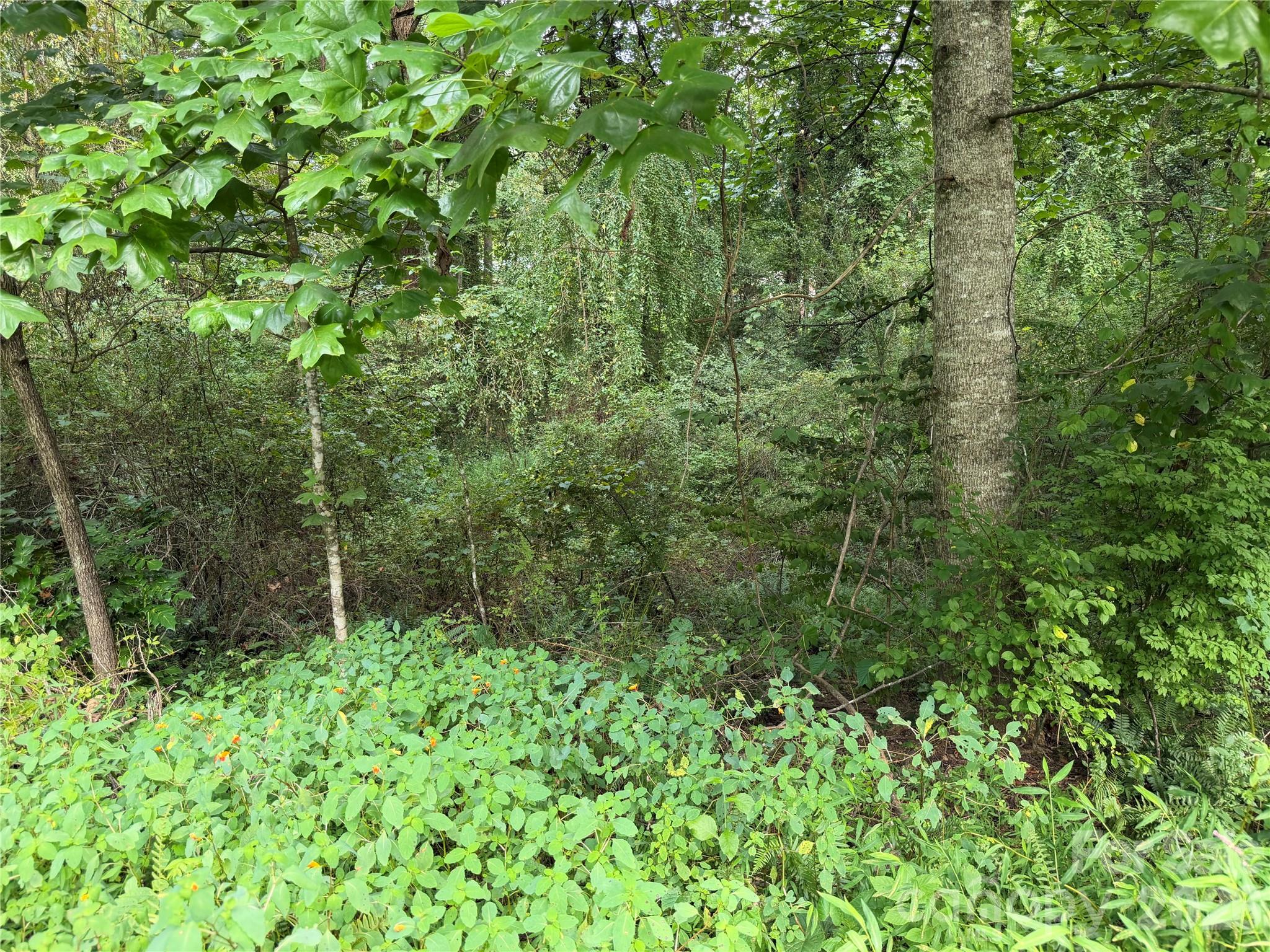 Off Meadowbrook Circle Property Photo 3