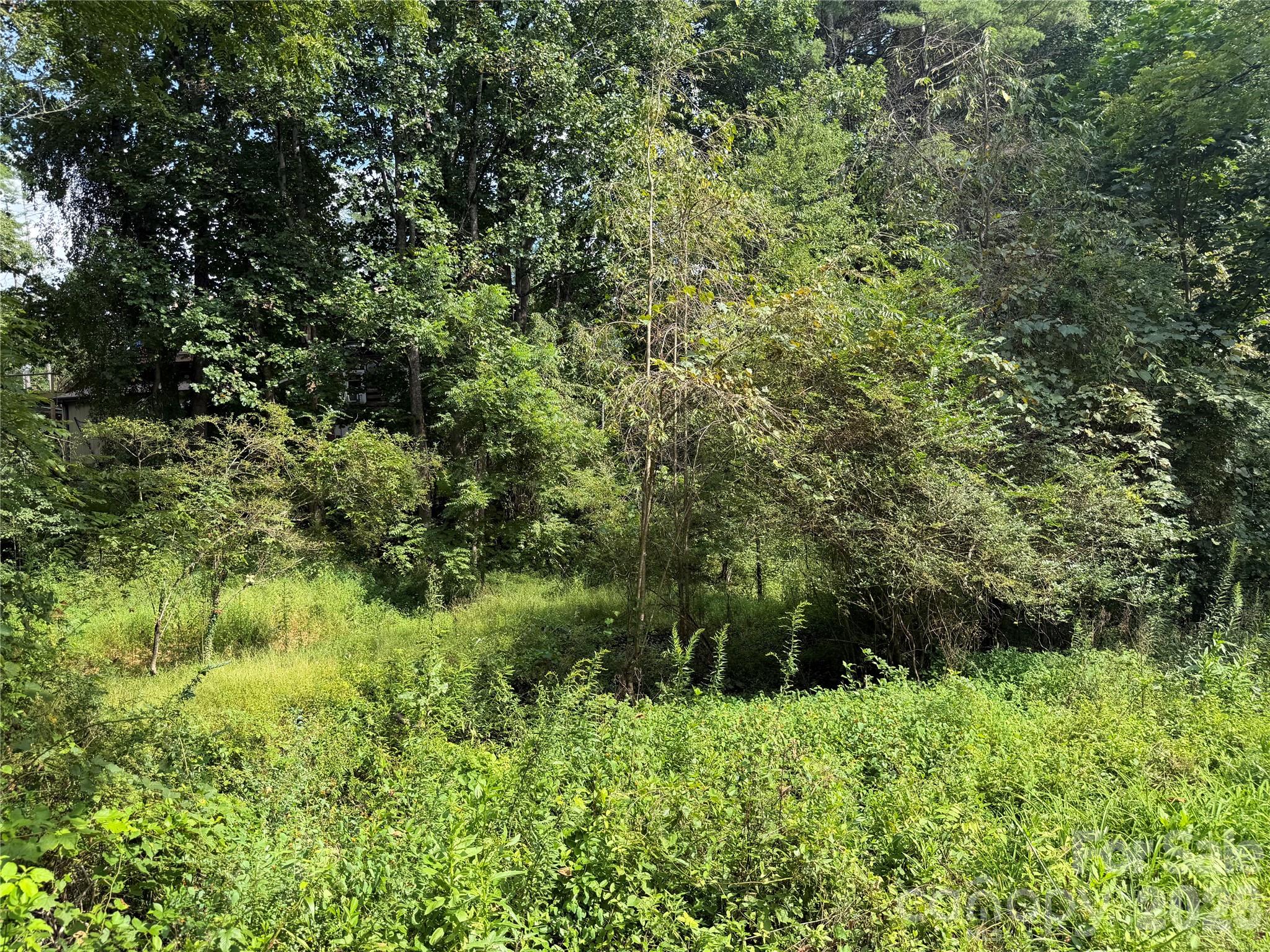 Off Meadowbrook Circle Property Photo 5