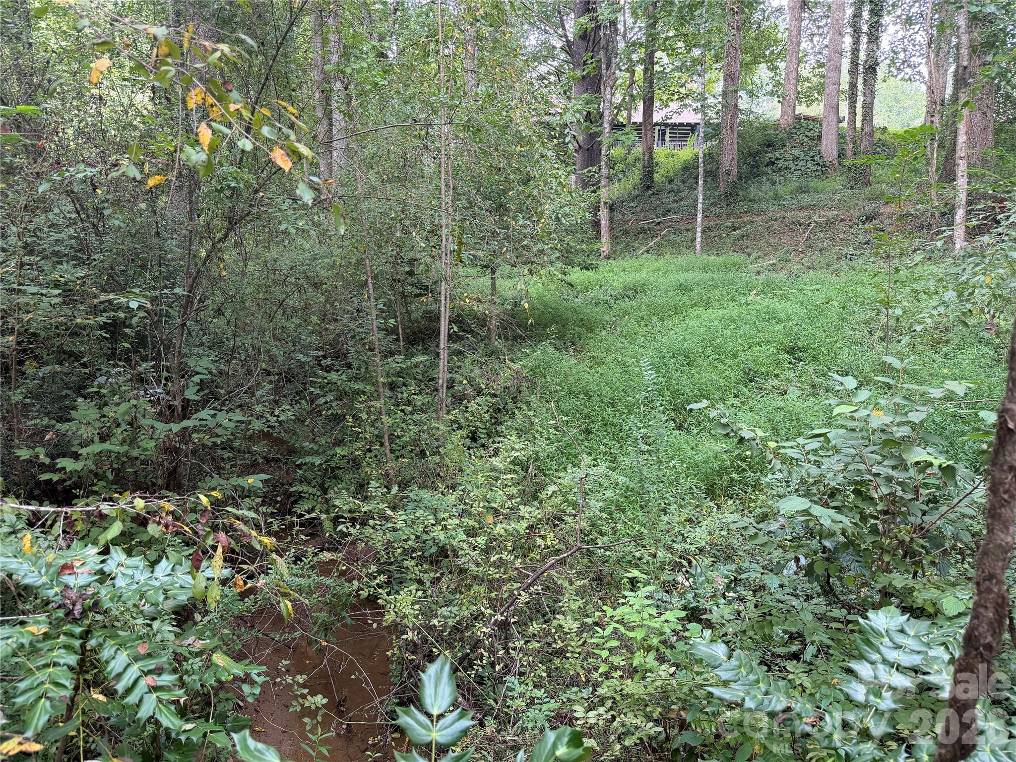 Off Meadowbrook Circle Property Photo 6