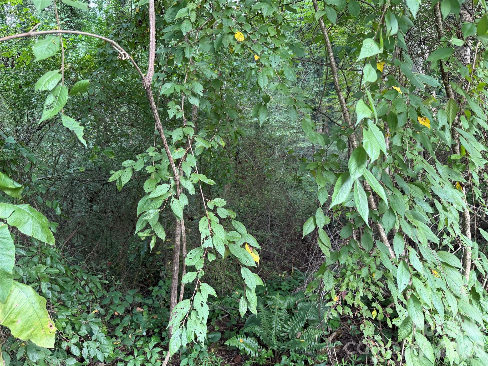Off Meadowbrook Circle Property Photo 7