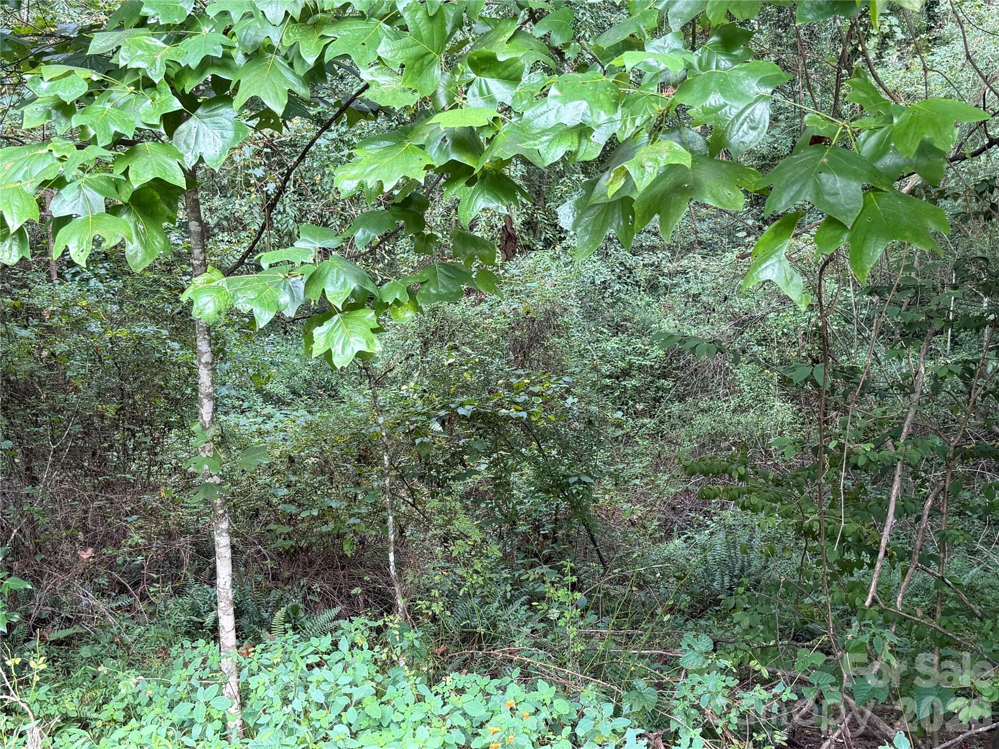 Off Meadowbrook Circle Property Photo 8