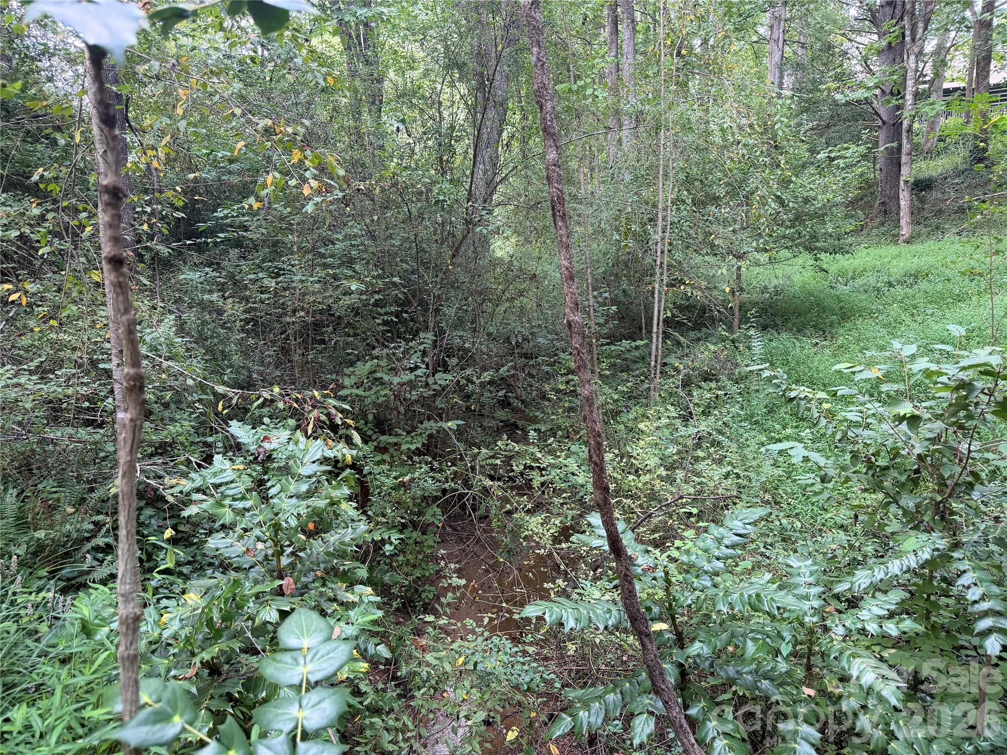 Off Meadowbrook Circle Property Photo 9