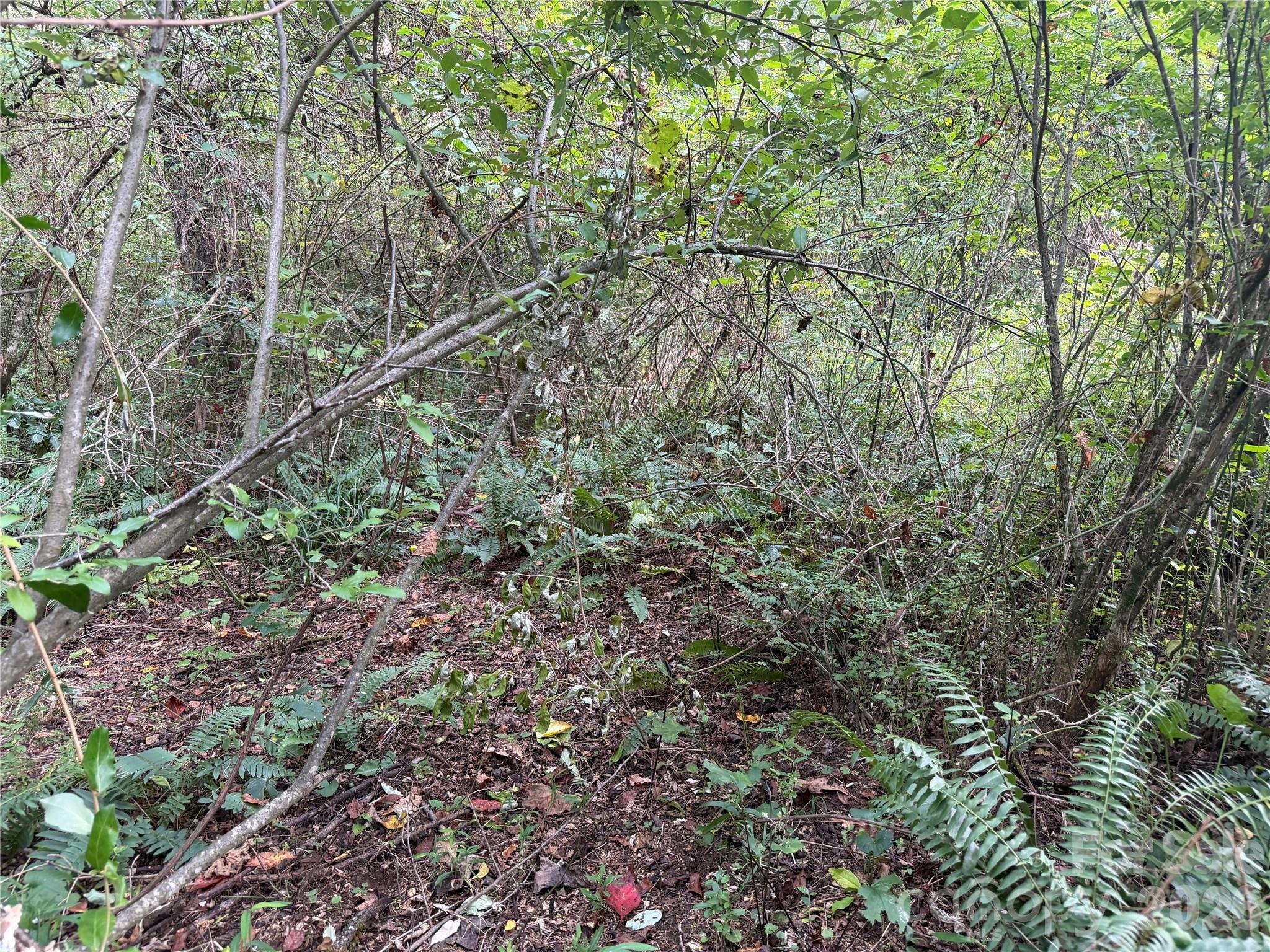 Off Meadowbrook Circle Property Photo 10