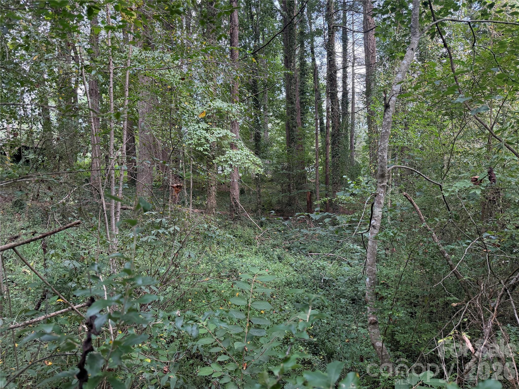Off Meadowbrook Circle Property Photo 11