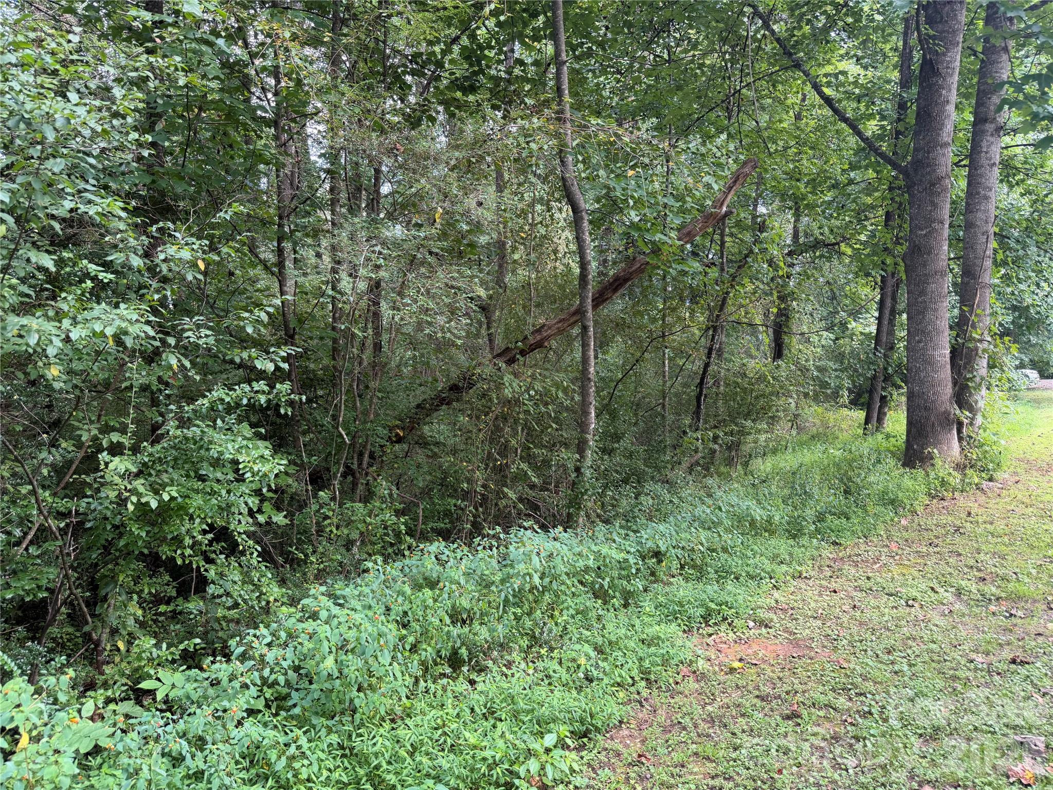 Off Meadowbrook Circle Property Photo 13