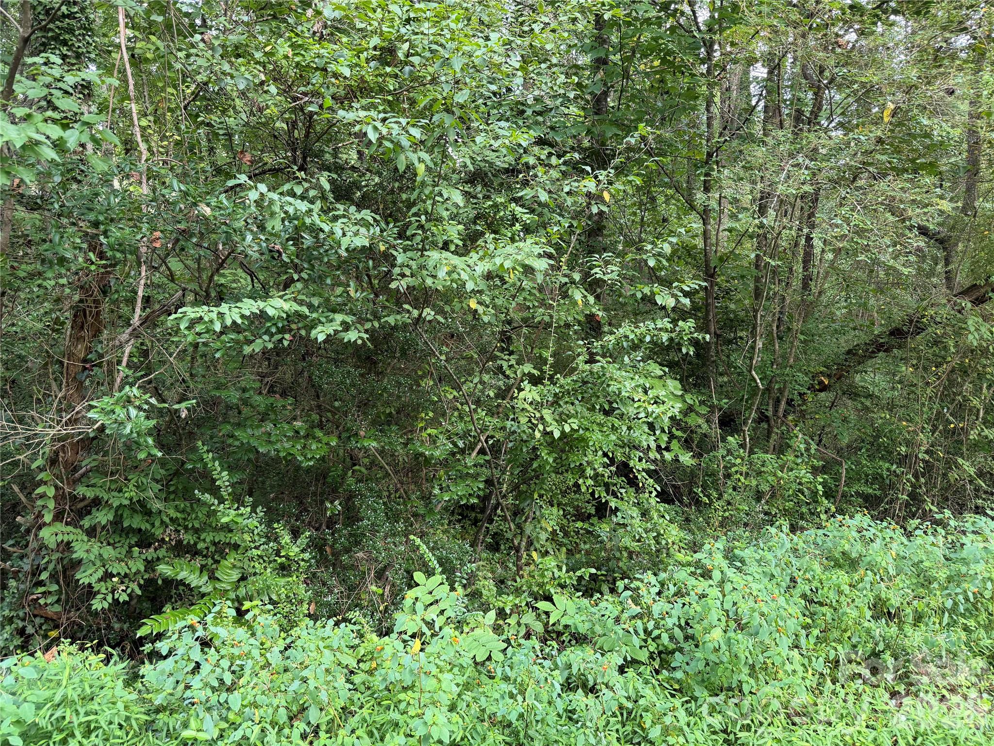 Off Meadowbrook Circle Property Photo 14