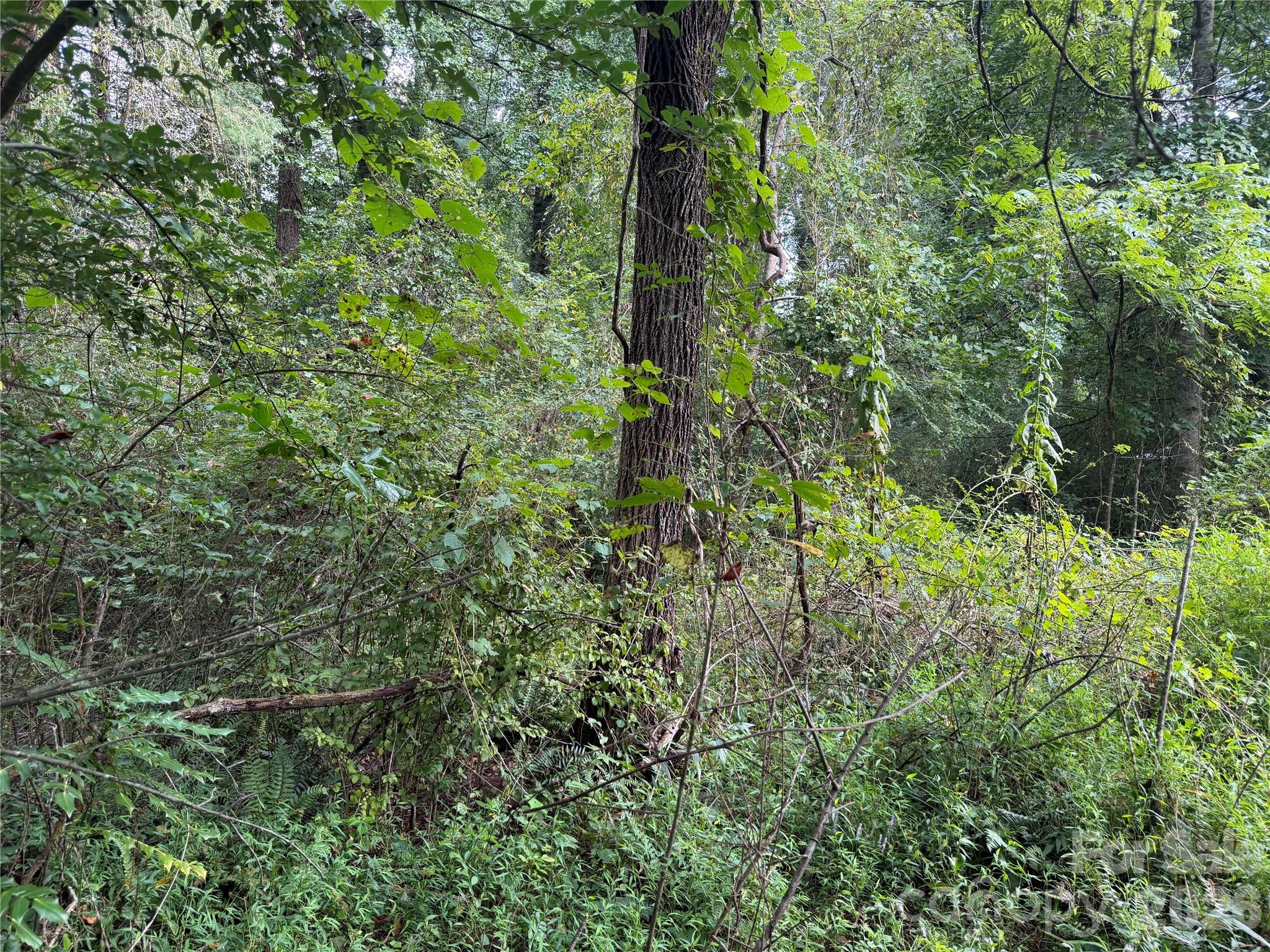 Off Meadowbrook Circle Property Photo 15