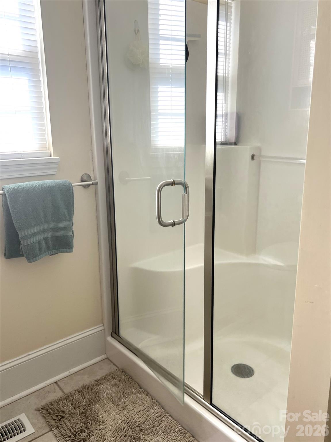 213 Erwin Street Property Photo 11