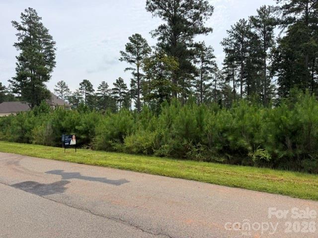 0 Big View Lane 222 Property Photo 8