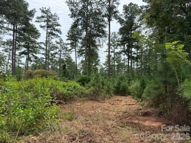 0 Big View Lane 222 Property Photo 9