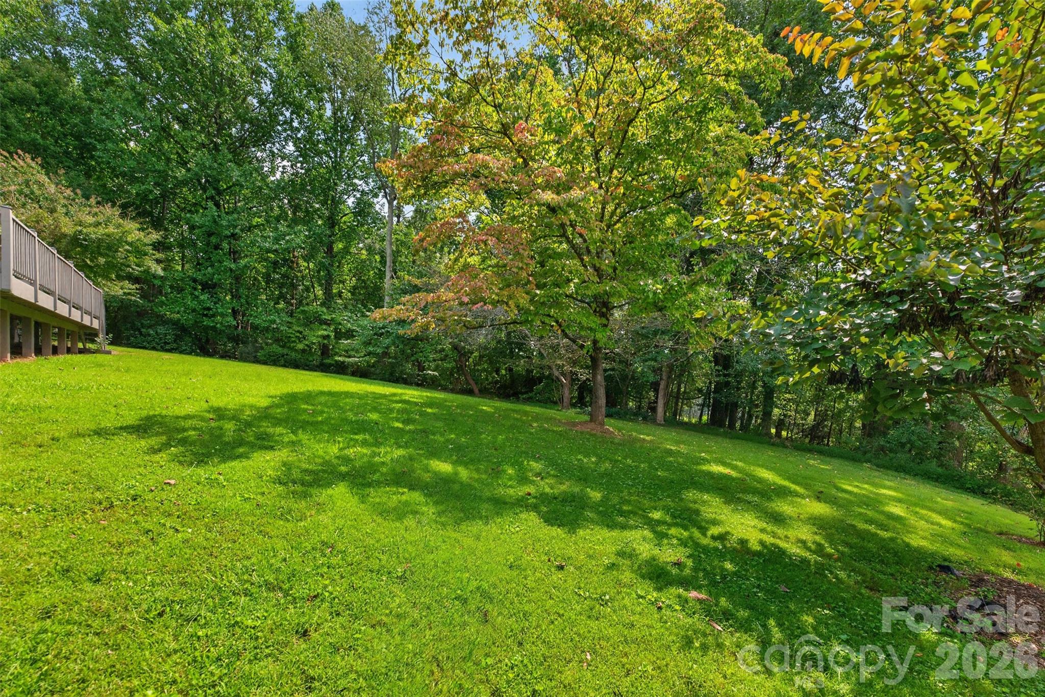 2923 Dogwood Drive Property Photo 40