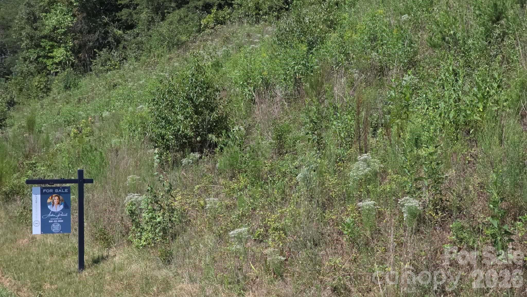 0 Us 64 90 Highway Property Photo 2
