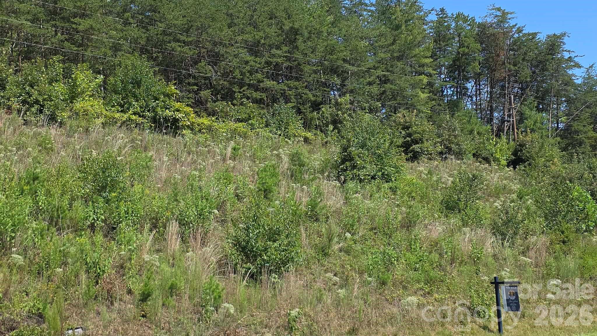 0 Us 64 90 Highway Property Photo 3