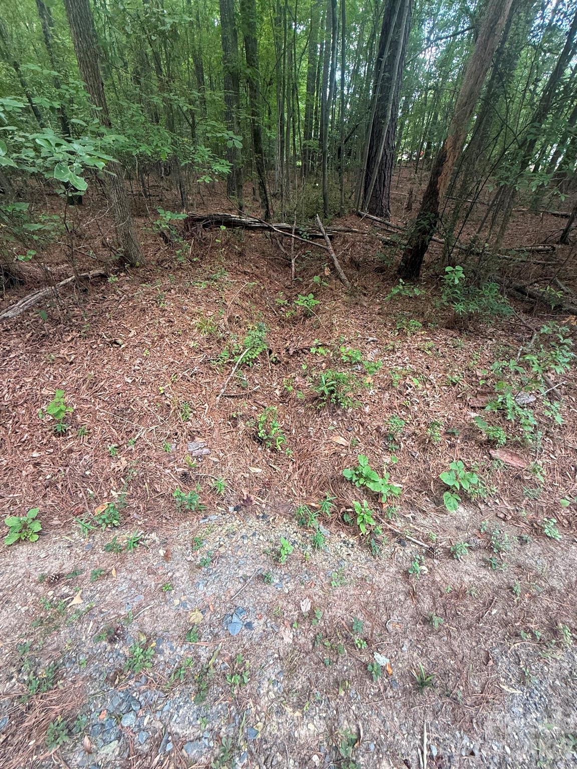0 Blackwell Street Property Photo 6