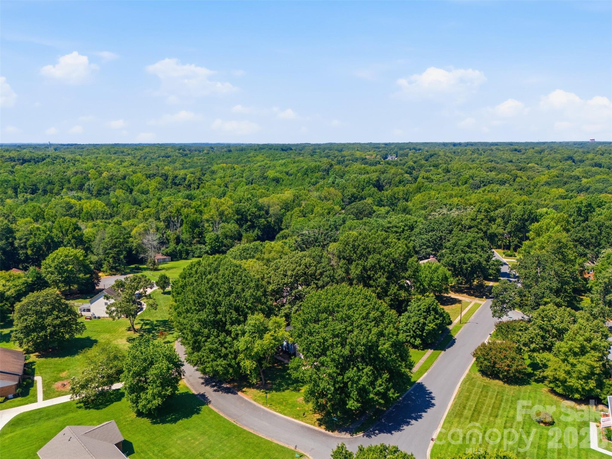 9319 Old Gold Mine Court Property Photo 46