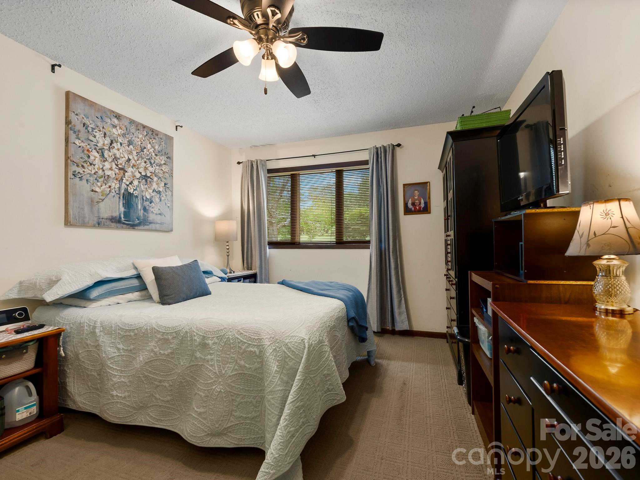 343 White Pine Drive Property Photo 19