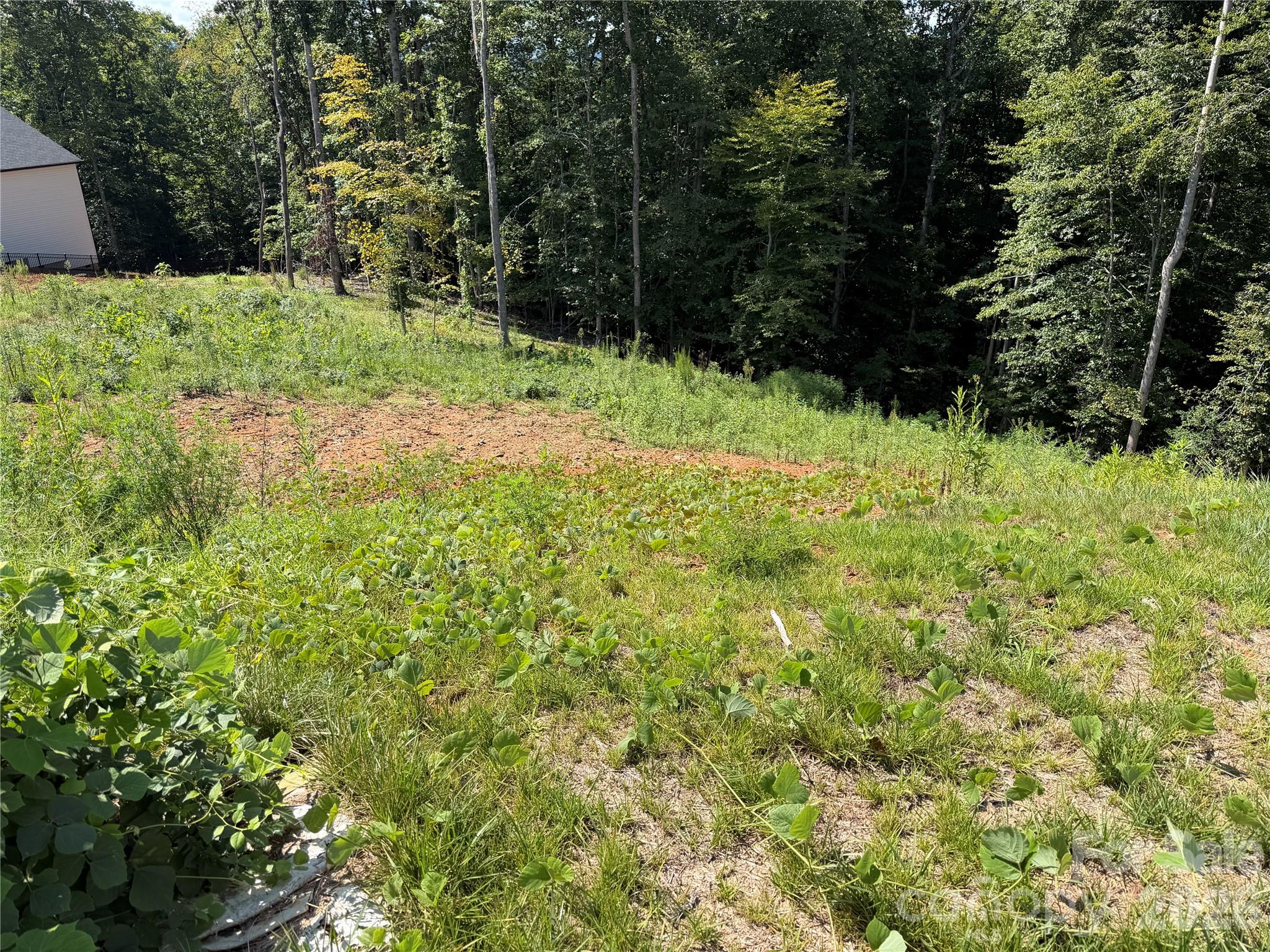 1207 Summerhill Street Property Photo 2