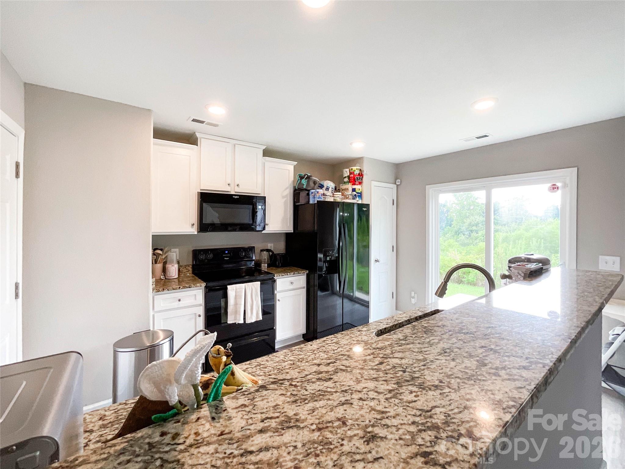 3005 Chatuge Court Property Photo 10
