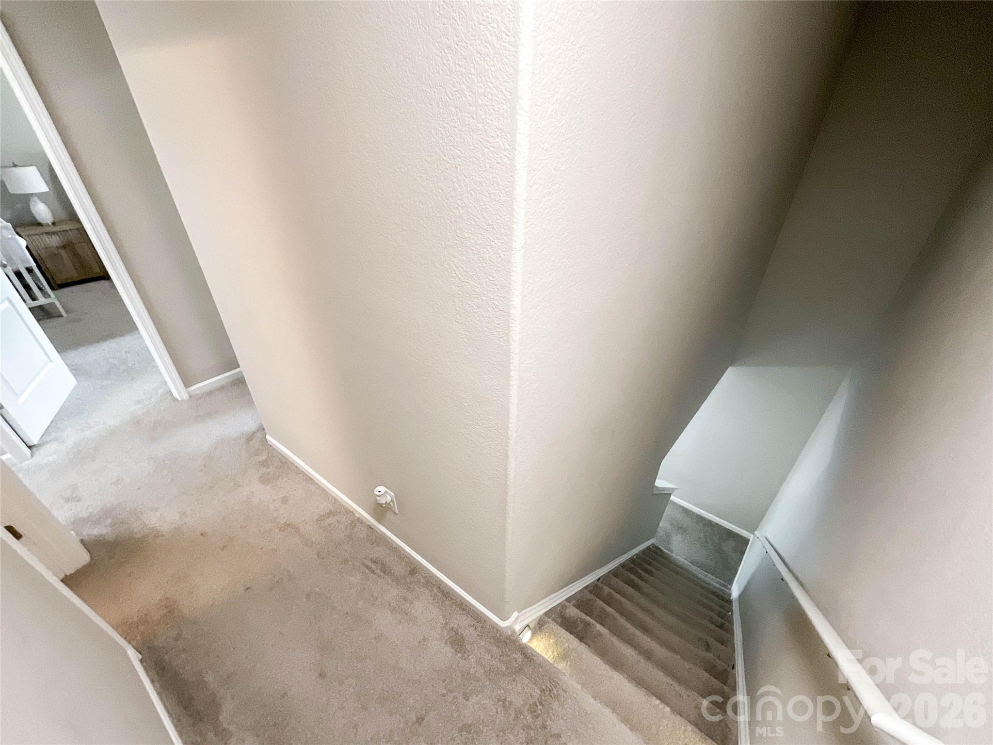 3005 Chatuge Court Property Photo 16