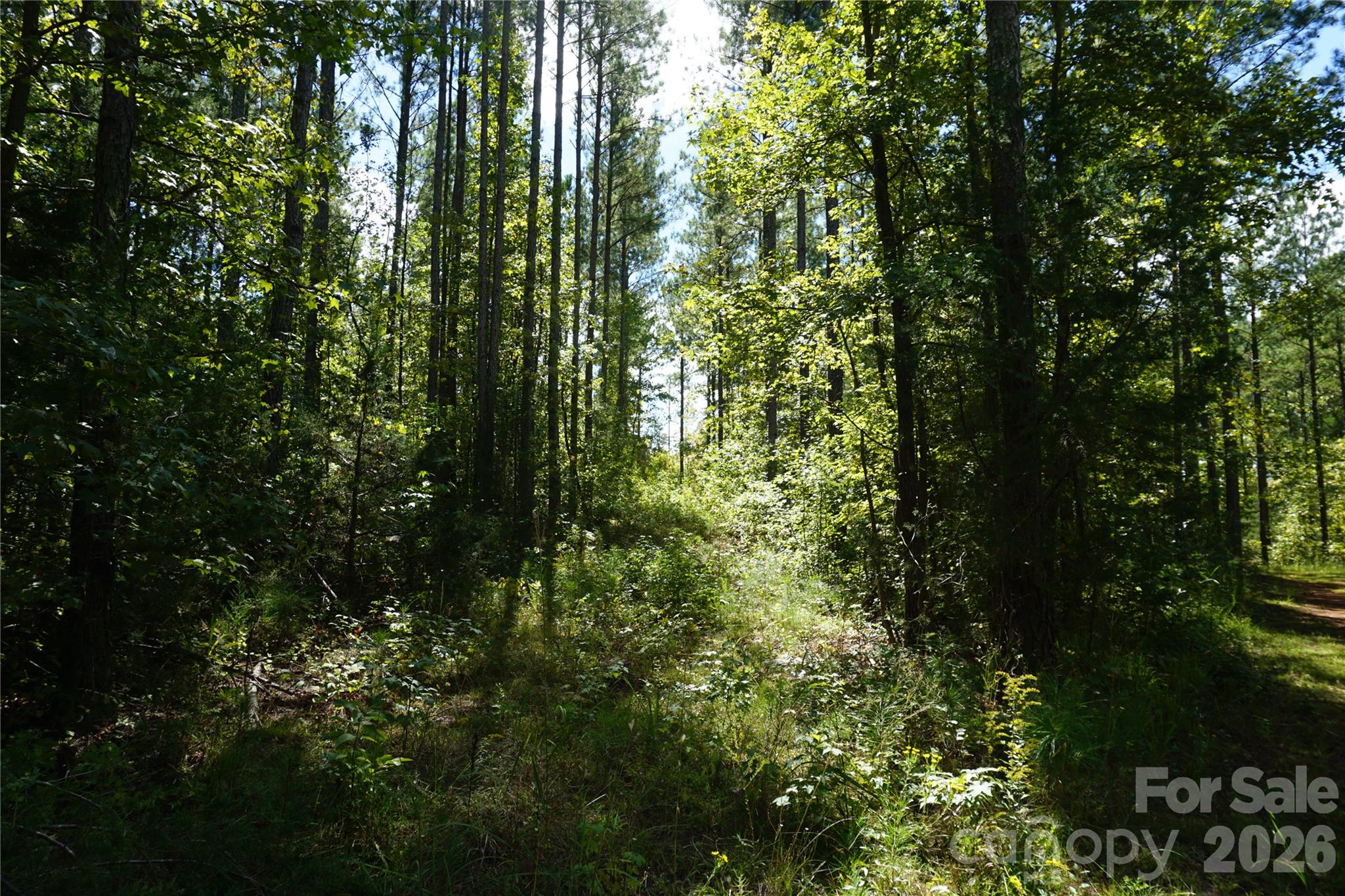 15+/- Ac Lot 2 Parson Road Property Photo 2