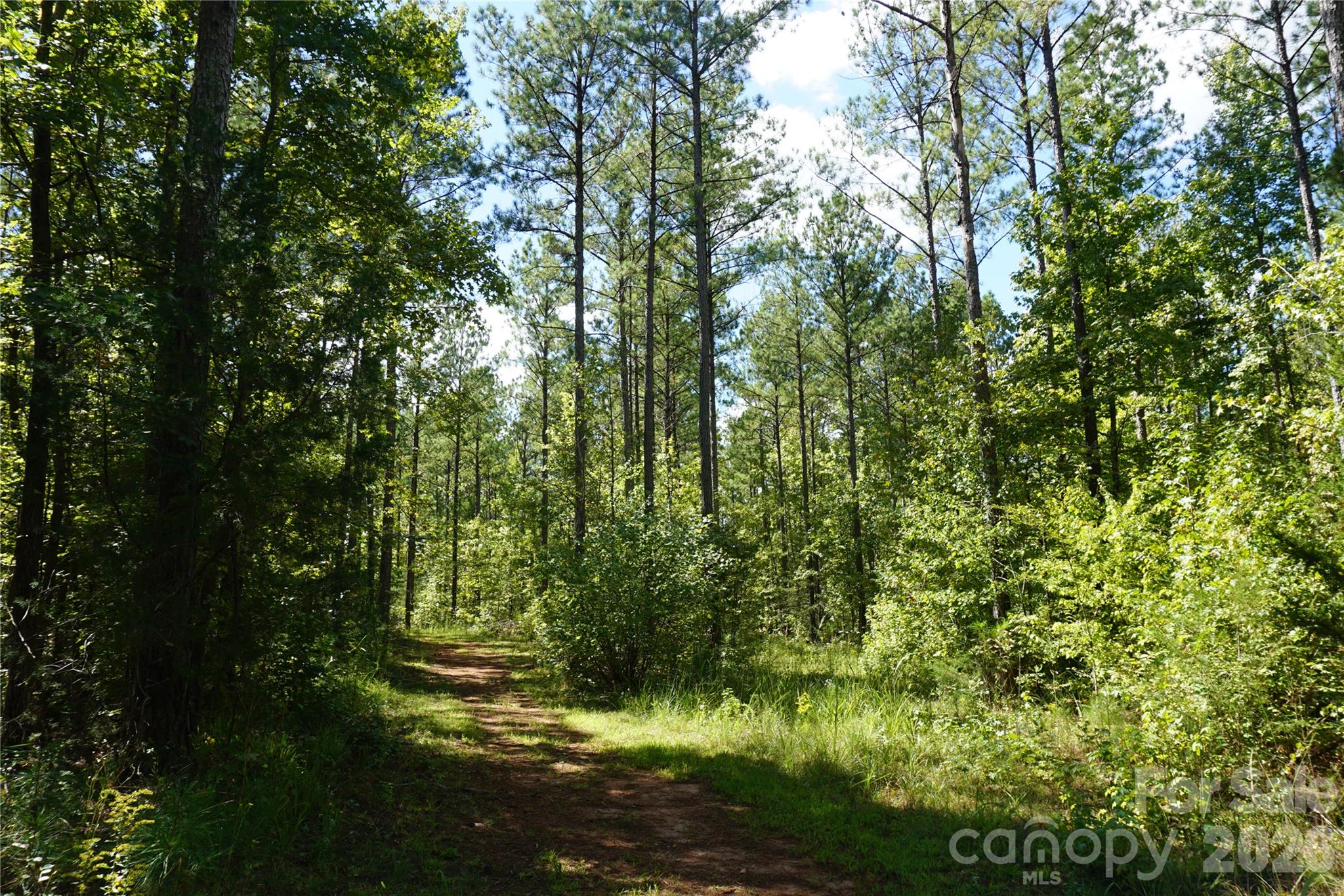 15+/- Ac Lot 2 Parson Road Property Photo 3