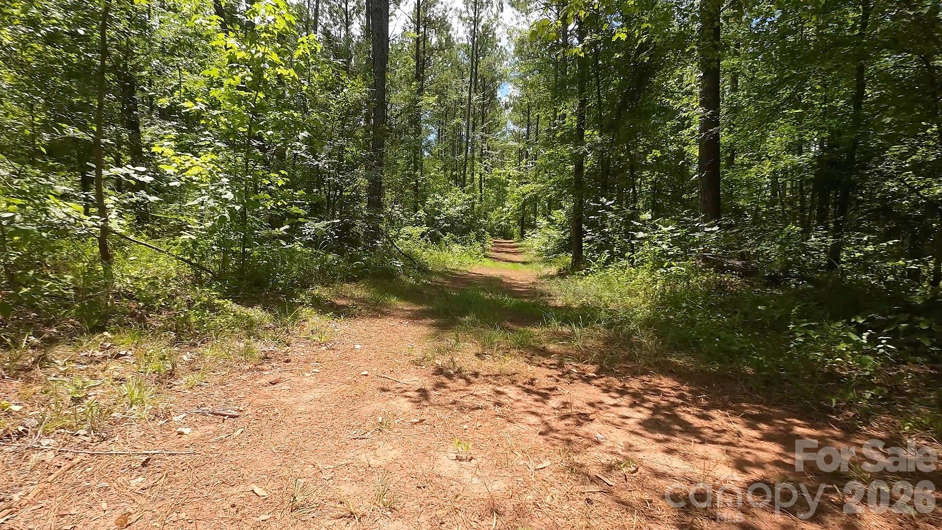 15+/- Ac Lot 2 Parson Road Property Photo 4