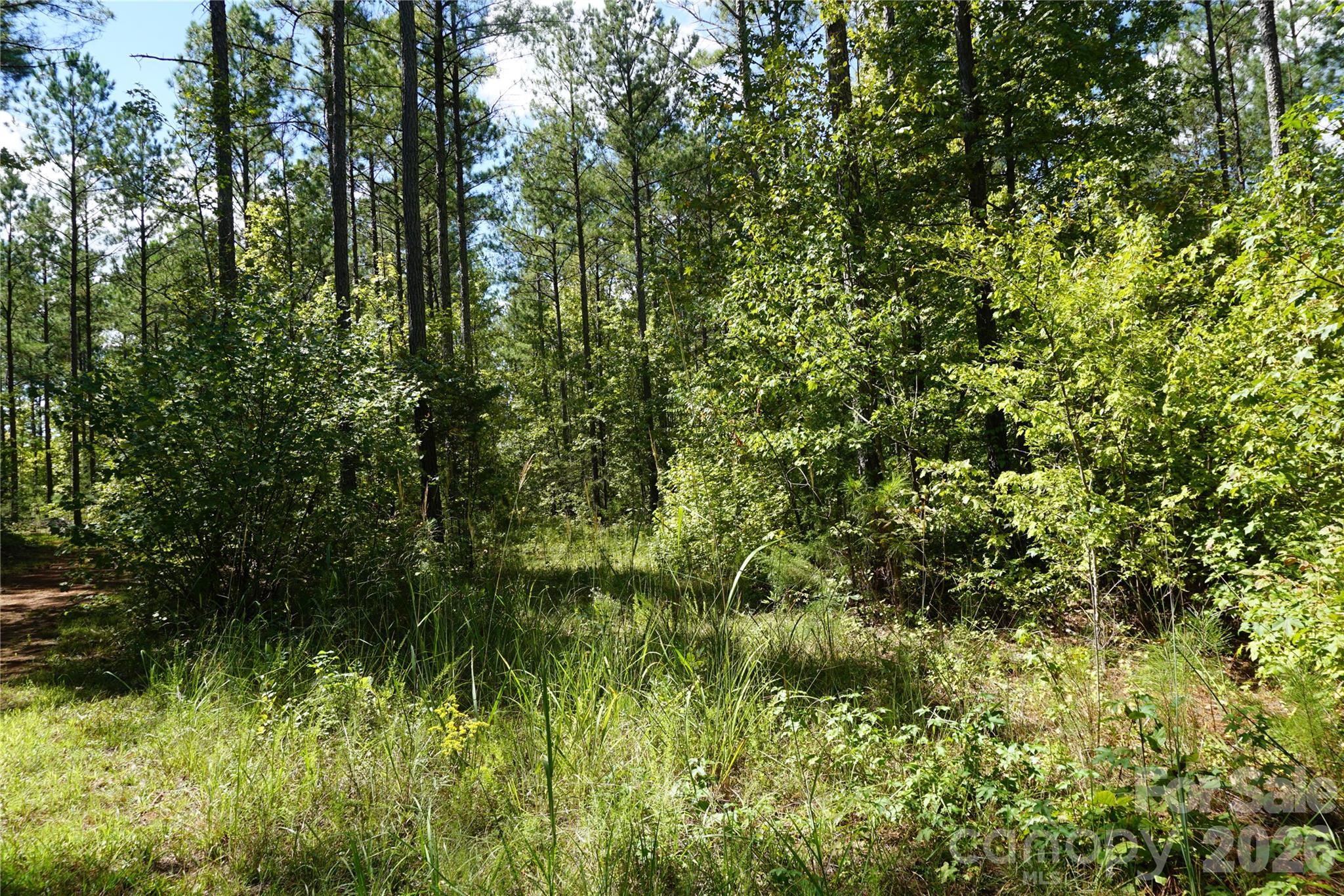 15+/- Ac Lot 2 Parson Road Property Photo 4