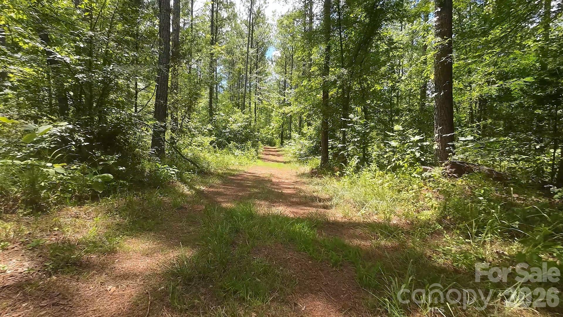 15+/- Ac Lot 2 Parson Road Property Photo 5