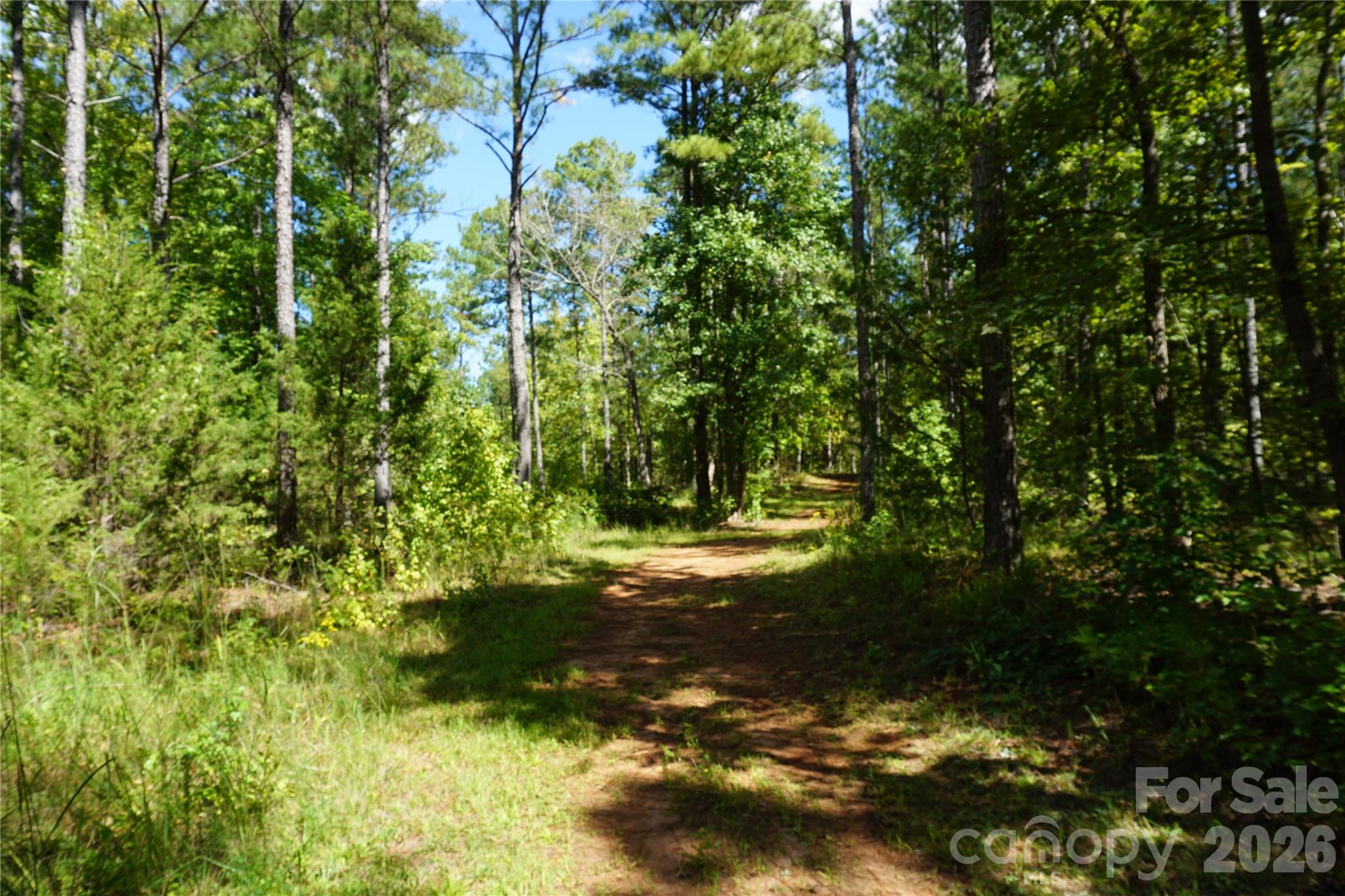 15+/- Ac Lot 2 Parson Road Property Photo 5