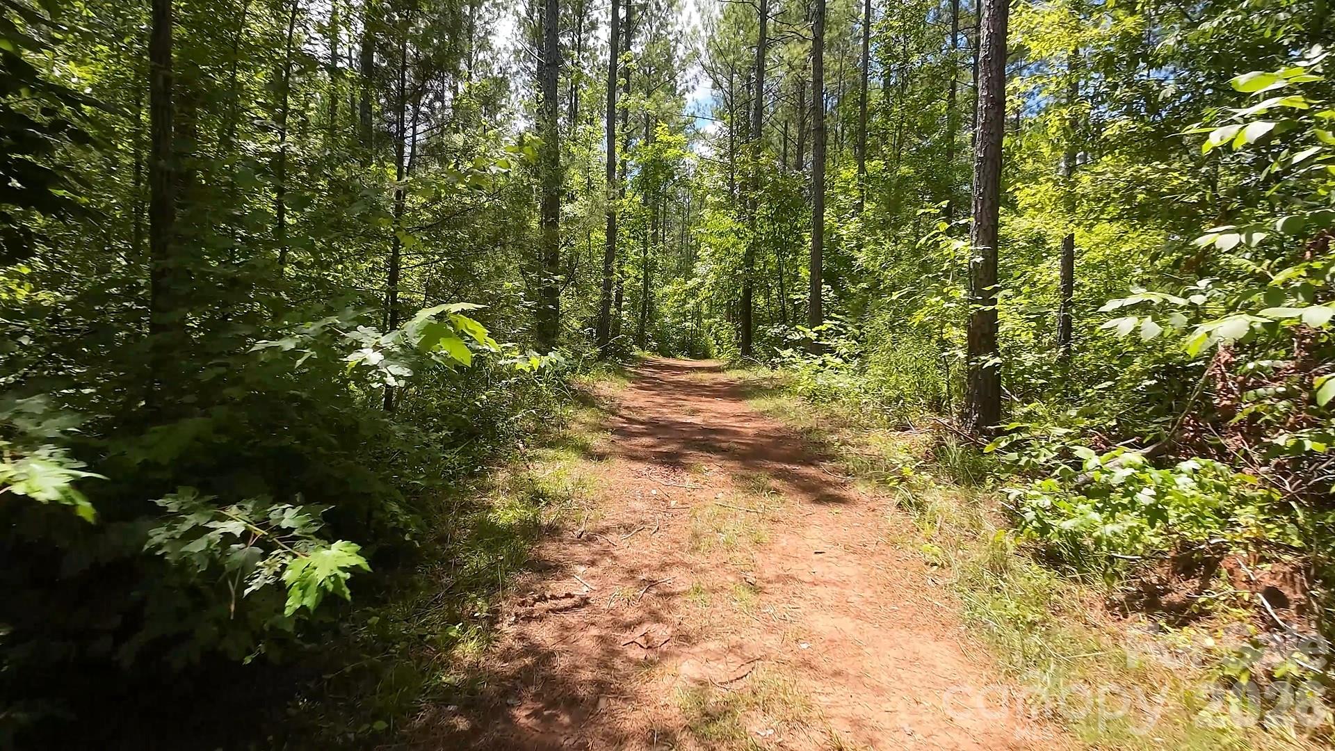 15+/- Ac Lot 2 Parson Road Property Photo 6