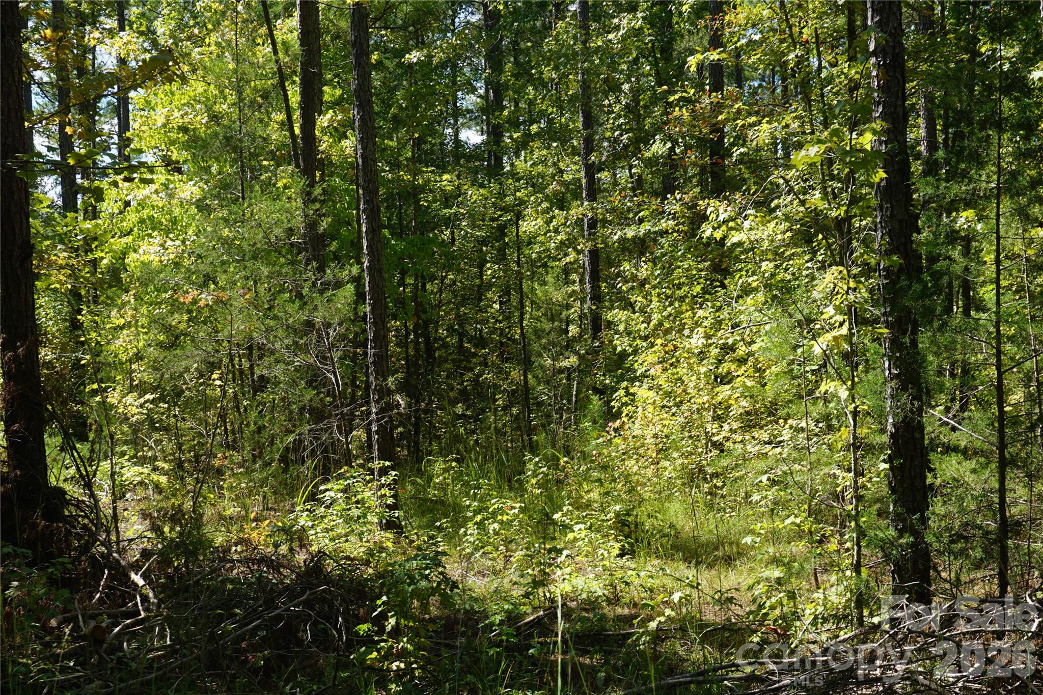 15+/- Ac Lot 2 Parson Road Property Photo 6