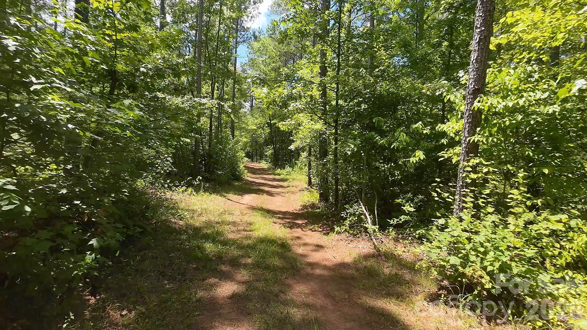15+/- Ac Lot 2 Parson Road Property Photo 7