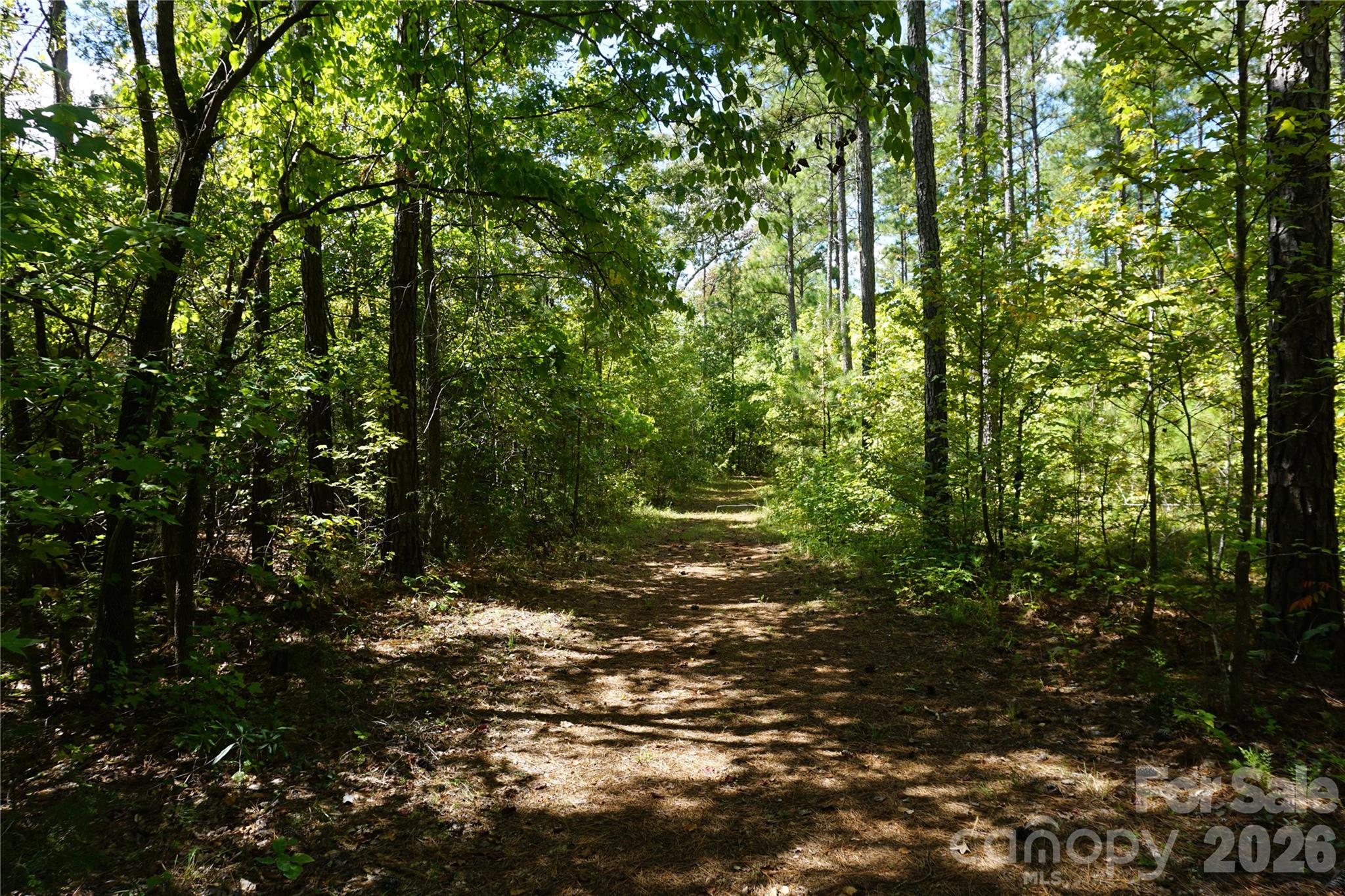 15+/- Ac Lot 2 Parson Road Property Photo 9