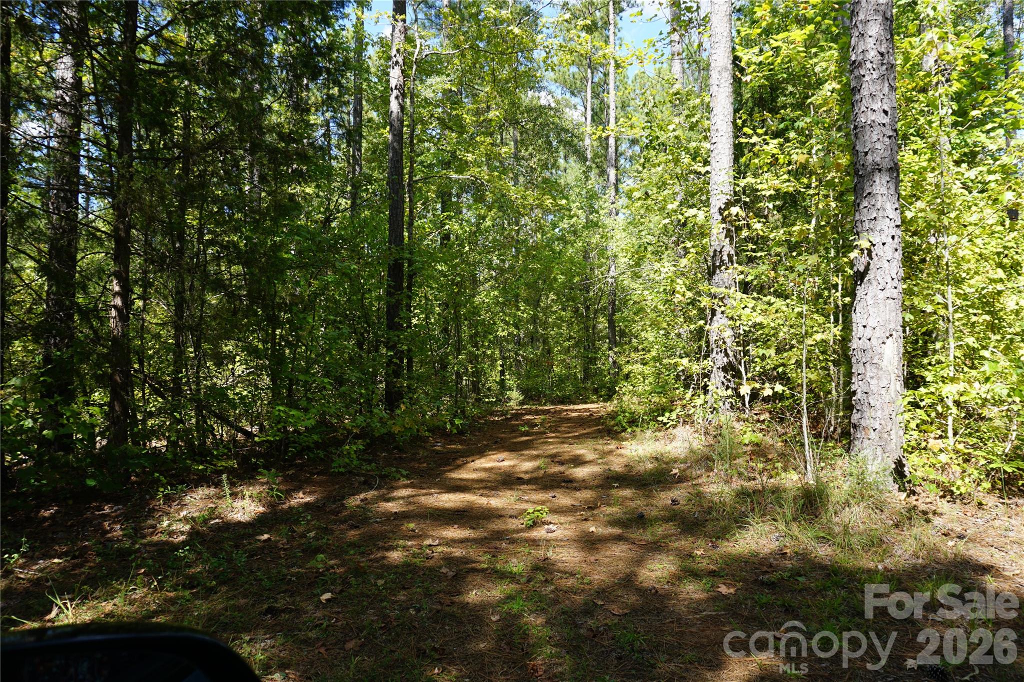 15+/- Ac Lot 2 Parson Road Property Photo 10