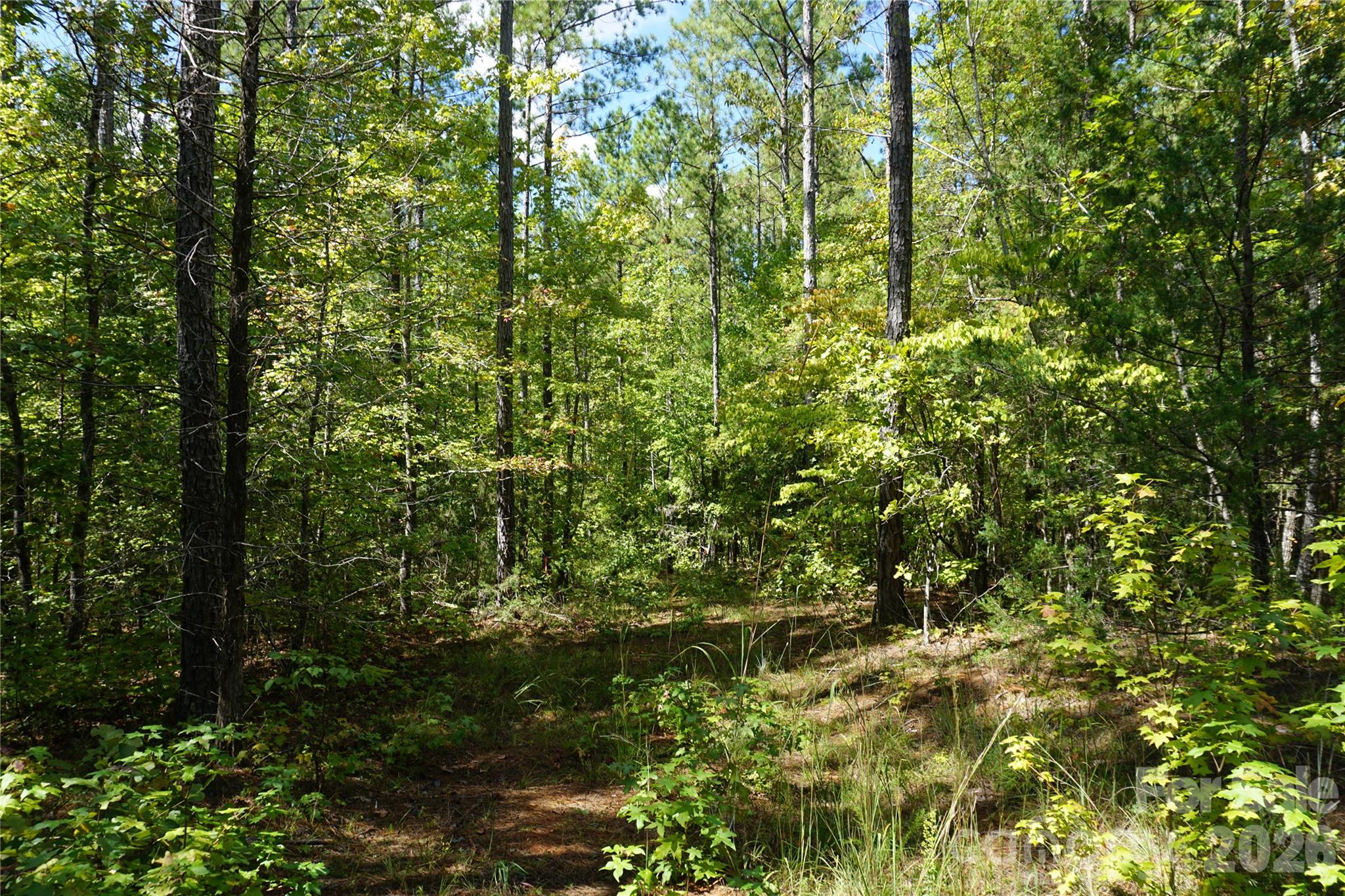 15+/- Ac Lot 2 Parson Road Property Photo 11