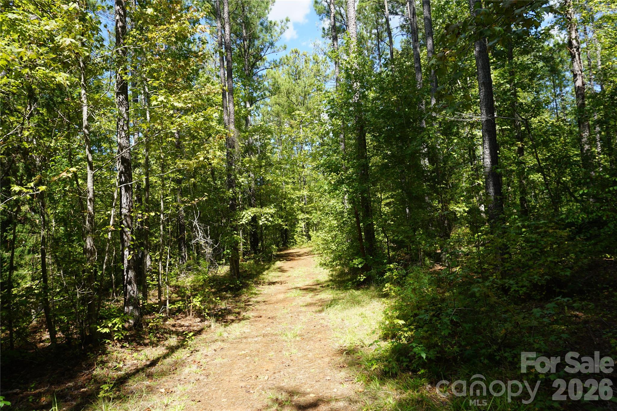 15+/- Ac Lot 2 Parson Road Property Photo 13