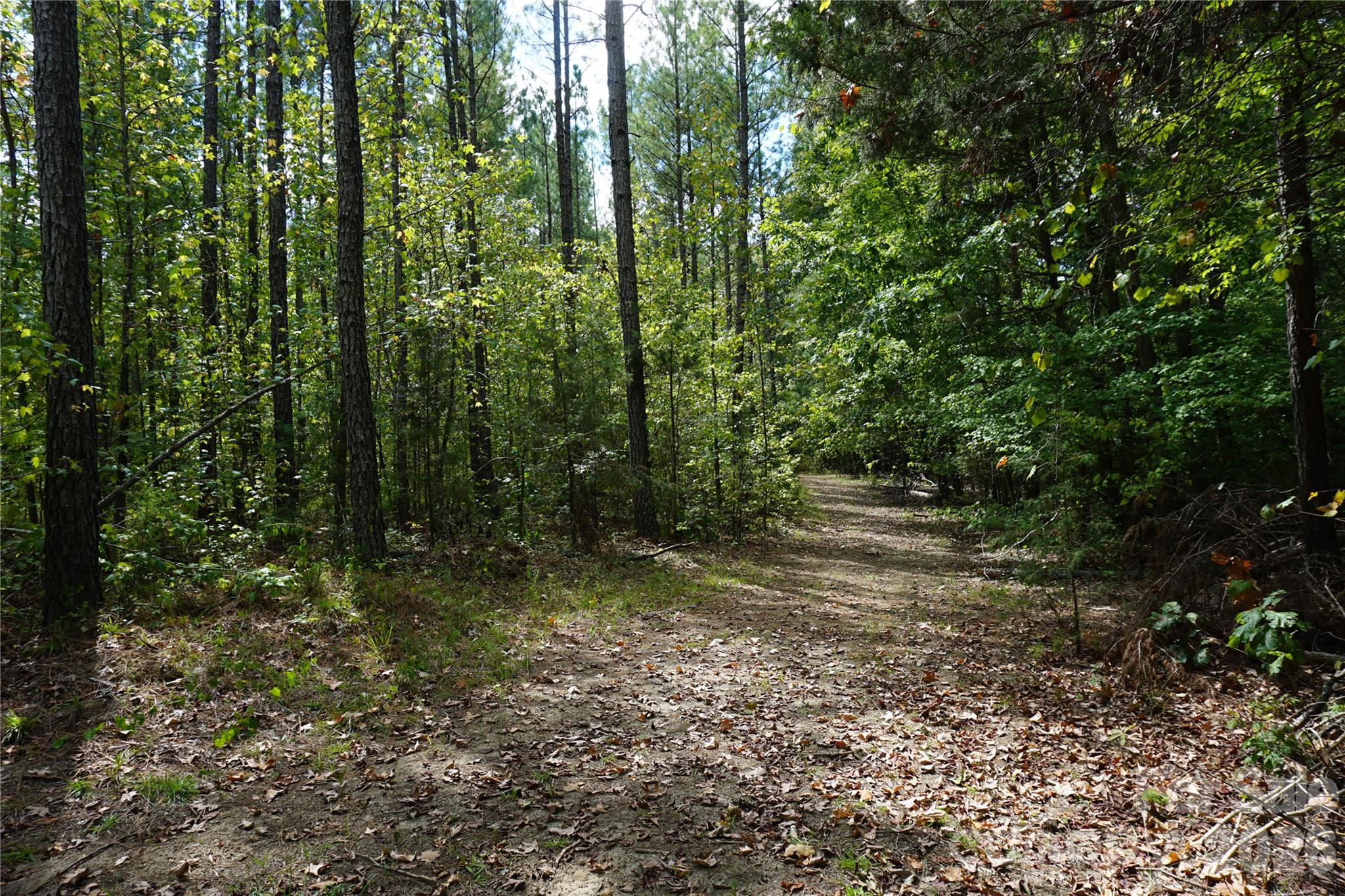 15+/- Ac Lot 2 Parson Road Property Photo 14