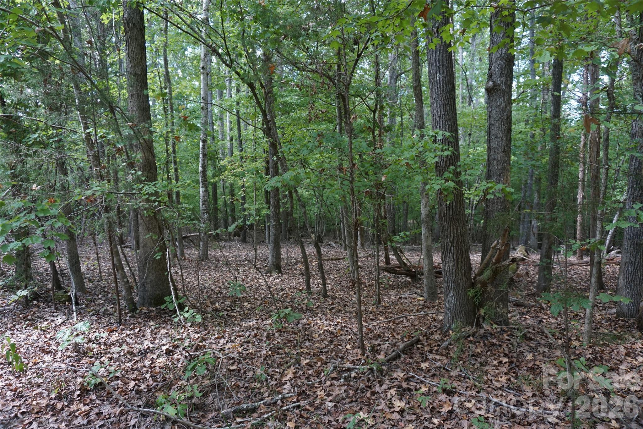 15+/- Ac Lot 2 Parson Road Property Photo 15