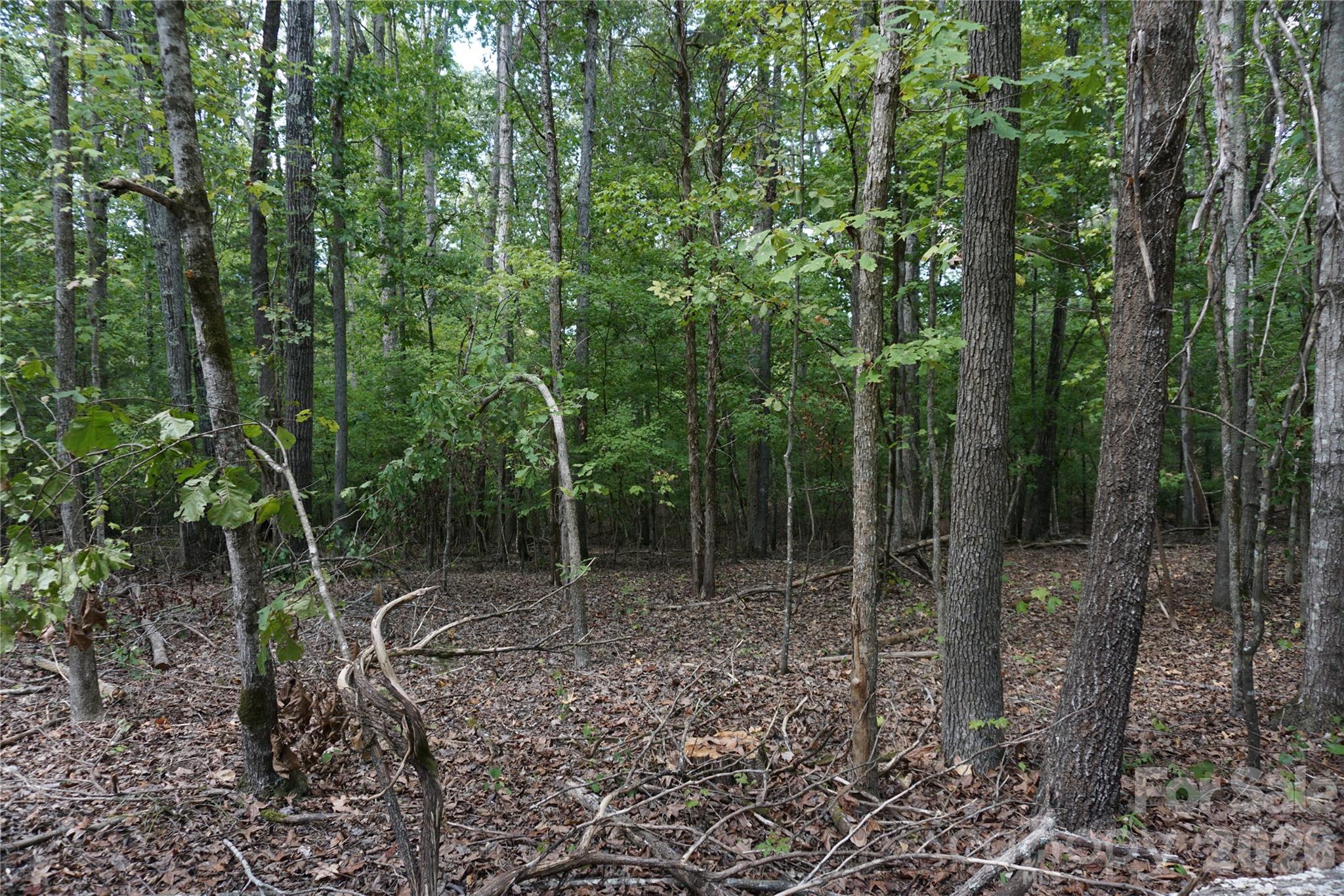 15+/- Ac Lot 2 Parson Road Property Photo 16