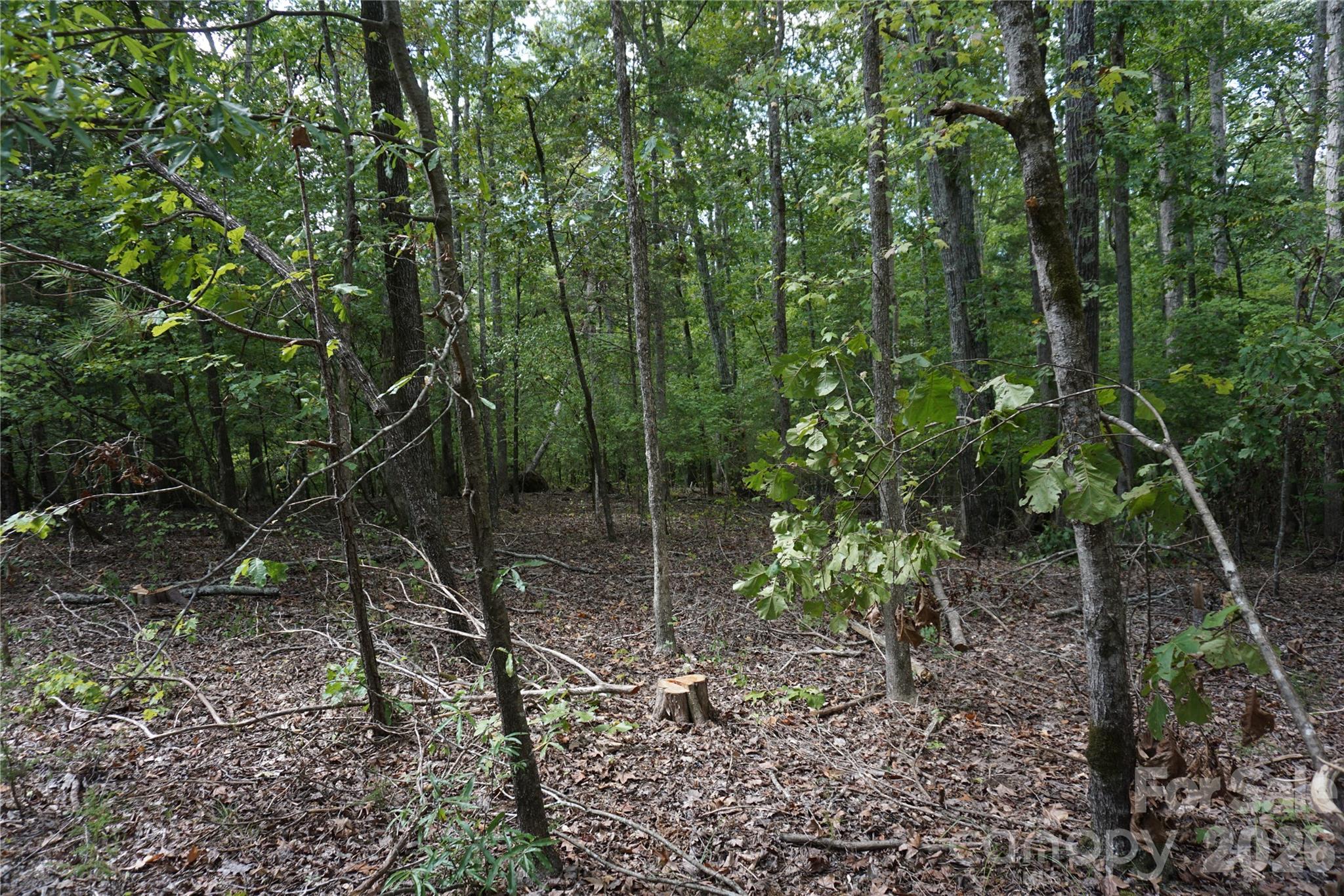 15+/- Ac Lot 2 Parson Road Property Photo 17