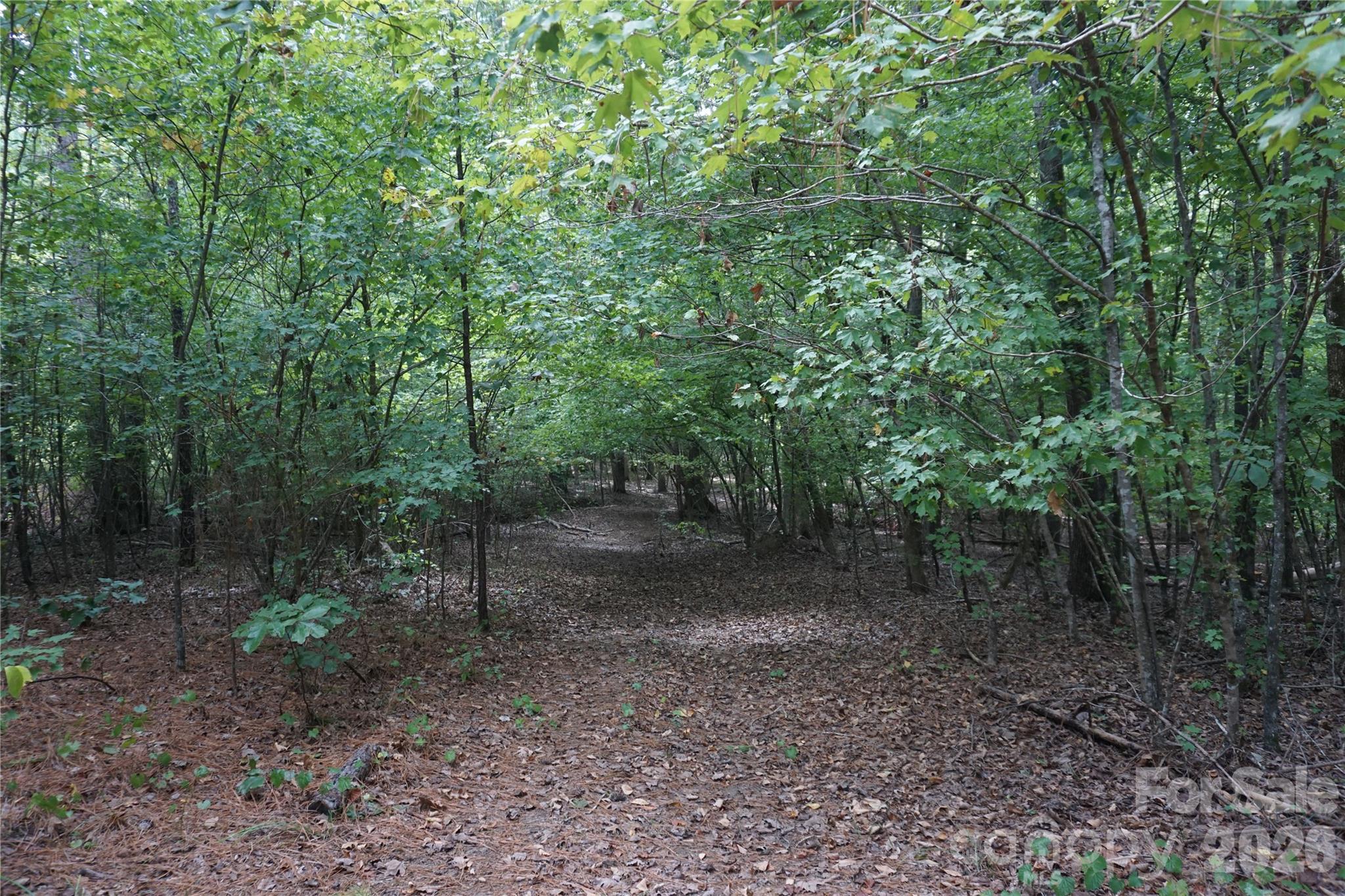 15+/- Ac Lot 2 Parson Road Property Photo 18