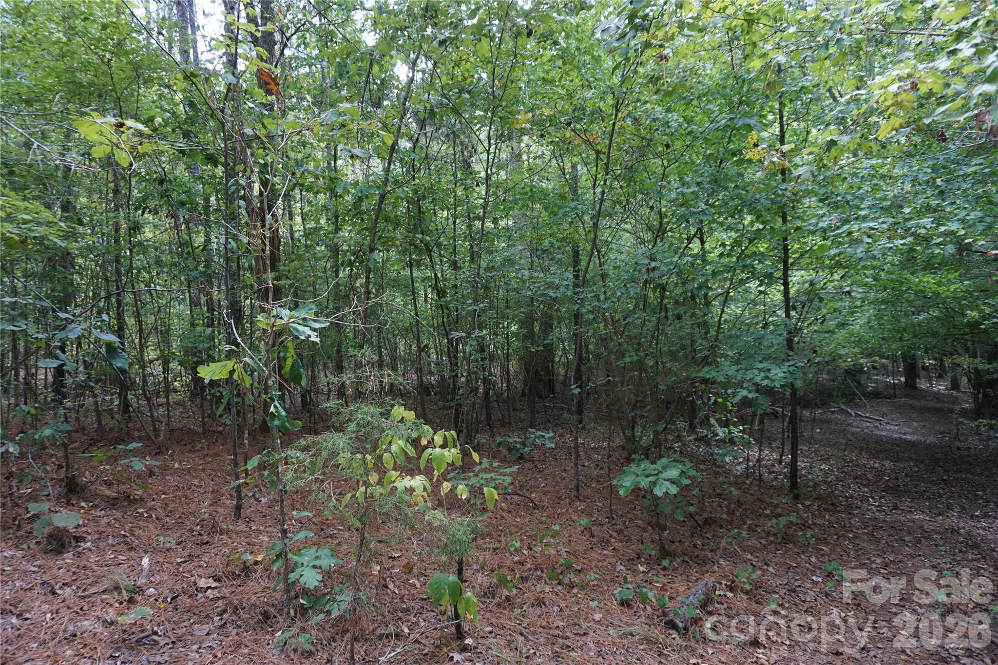 15+/- Ac Lot 2 Parson Road Property Photo 19