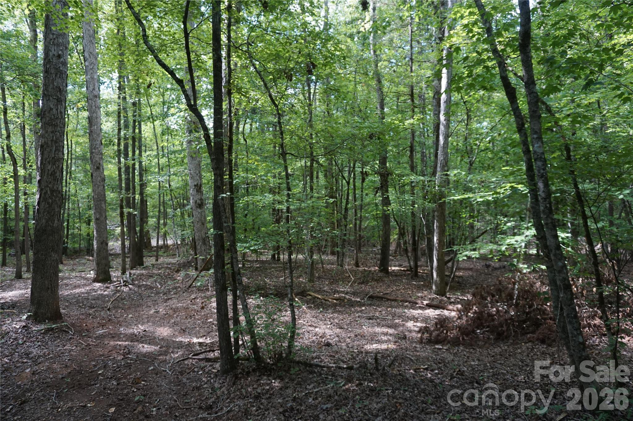15+/- Ac Lot 2 Parson Road Property Photo 20