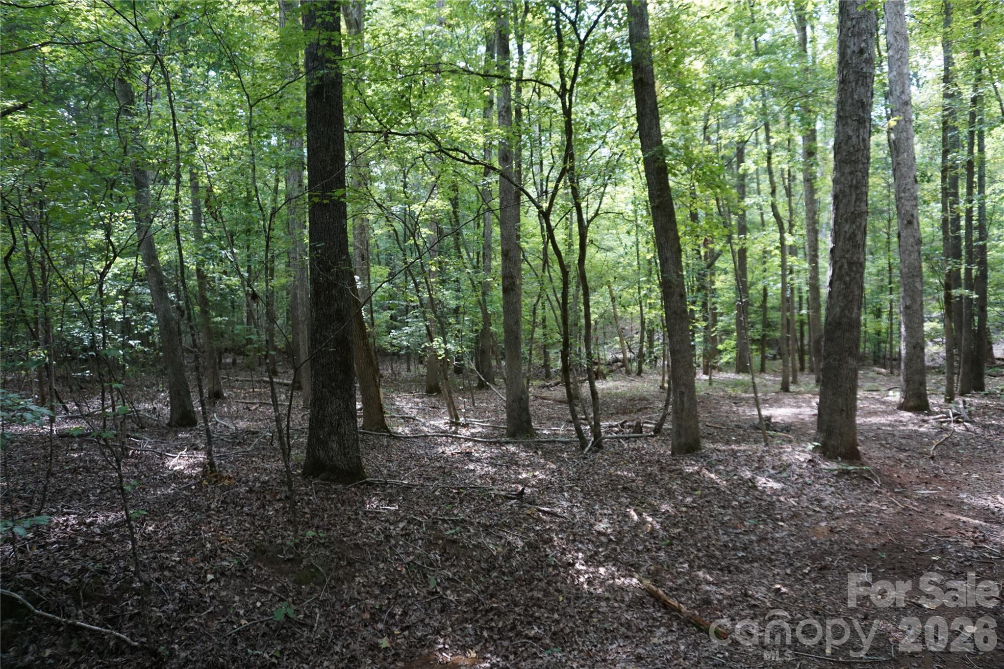 15+/- Ac Lot 2 Parson Road Property Photo 21