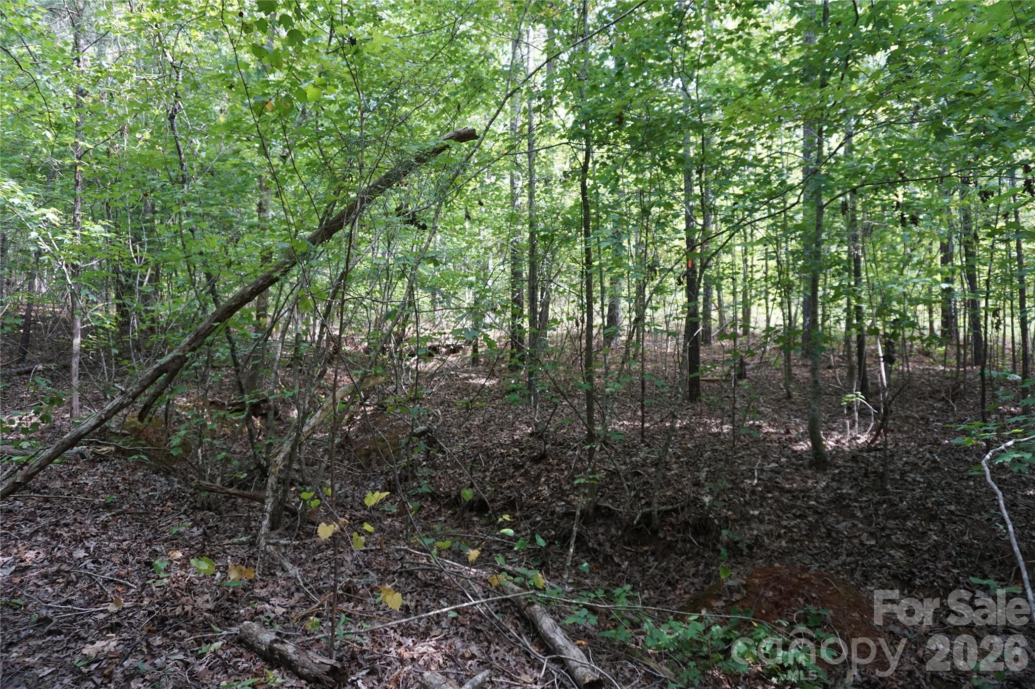 15+/- Ac Lot 2 Parson Road Property Photo 22